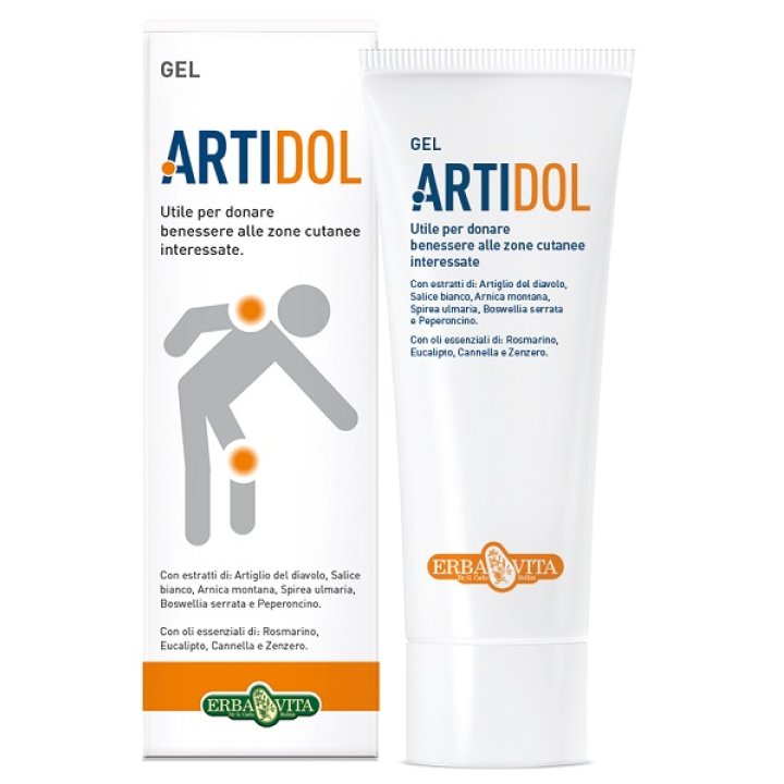 ARTIDOL GEL 100 ML