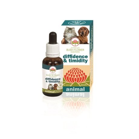 DIFFIDENCE & TIMIDITY 30 ML