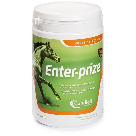 ENTER-PRIZE 450G ENTER-PRIZE 450G