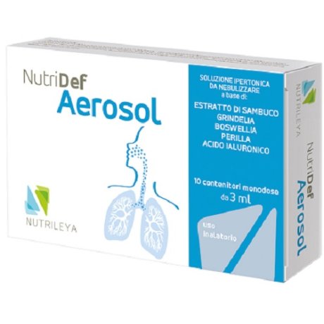 NUTRIDEF AEROSOL 10 FIALE 3 ML