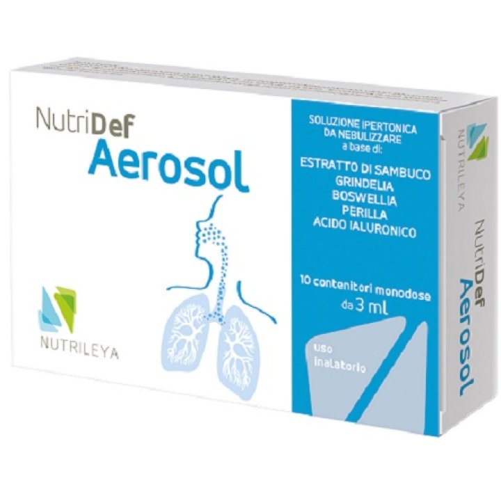 NUTRIDEF AEROSOL 10 FIALE 3 ML