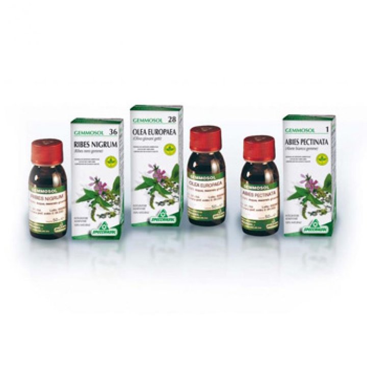 GEMMOSOL 46 TIGLIO ARGEN 50ML GEMMOSOL 46 TIGLIO ARGEN 50ML