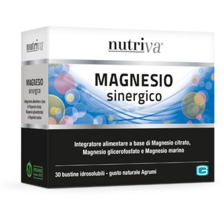 NUTRIVA MAGNESIO SINERGICO 66 G