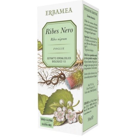 RIBES NERO 50ML ERBAMEA