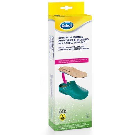 CLOG EVO ANAT ANT INS MIC39-40