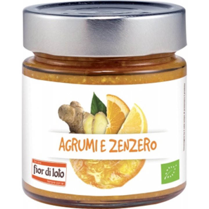 COMPOSTA AGRUMI E ZENZERO BIO 250 G