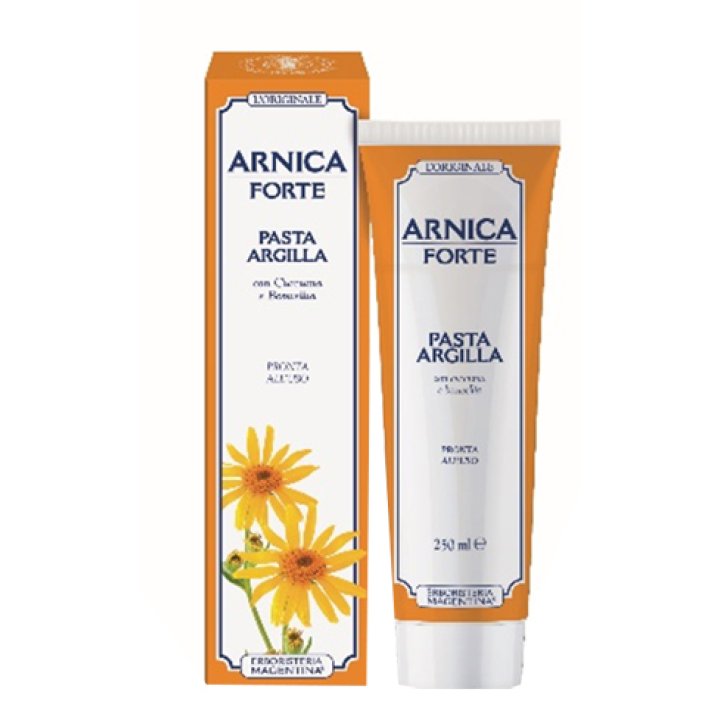 ARNICA FORTE PASTA ARGILLA 250 ML