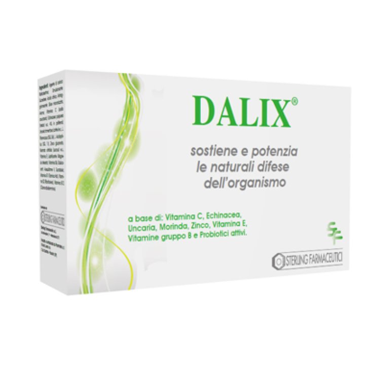 DALIX 20 BUSTINE