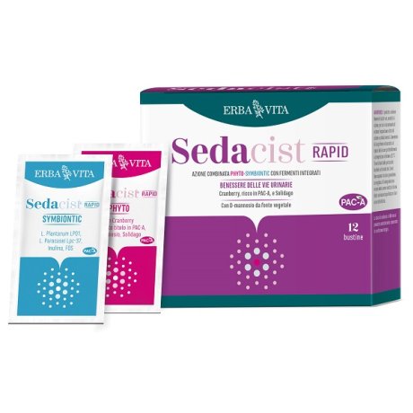 SEDACIST RAPID 6 + 6 BUSTINE