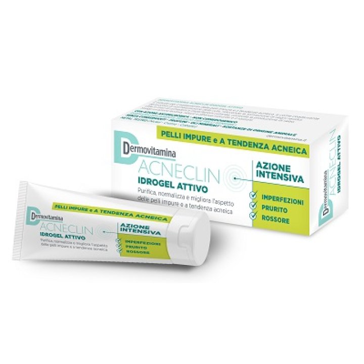 DERMOVITAMINA ACNECLIN IDROGEL 40 ML