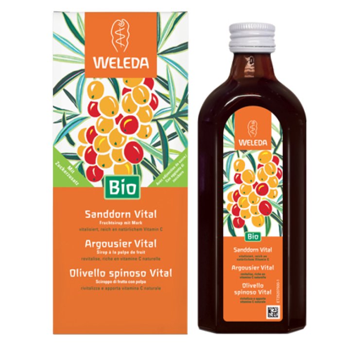 OLIVELLO SPINOSO VITAL SCIROPPO 250 ML