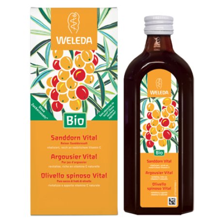 OLIVELLO SPINOSO VITAL SUCCO DI FRUTTA 250 ML OLIVELLO SPINOSO VITAL SUCCO DI FRUTTA 250 ML
