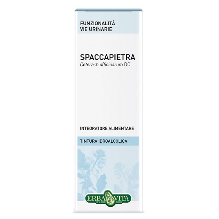 SPACCAPIETRA TINTURA IDROALCOLICA 50 ML EBV