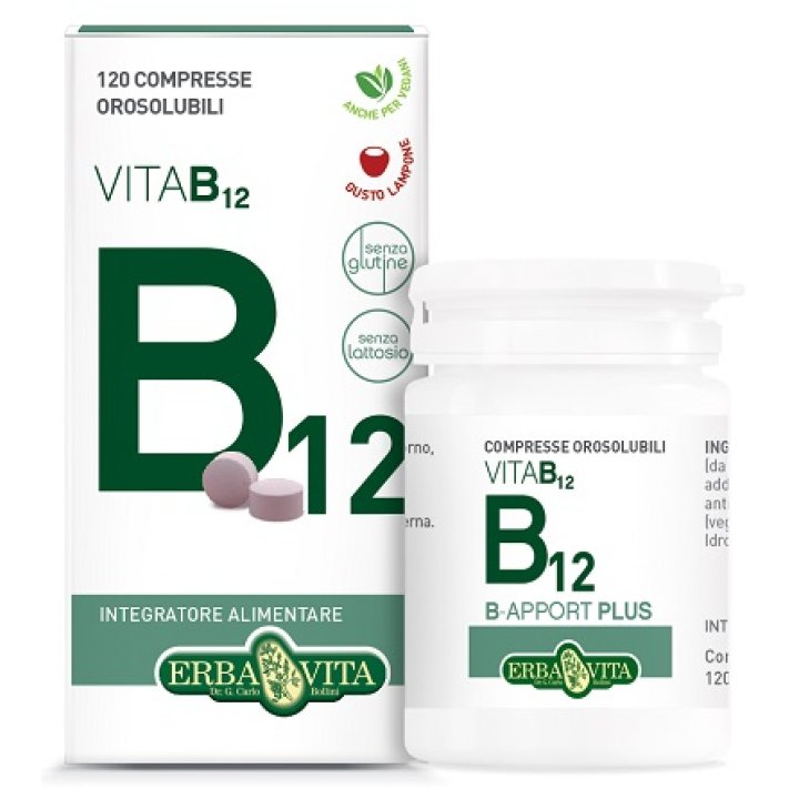B-APPORT VIT B12 120CPR OROSOL B-APPORT VIT B12 120CPR OROSOL