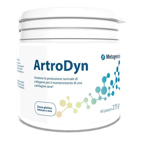 ARTRODYN 60 PORZIONI 275 G