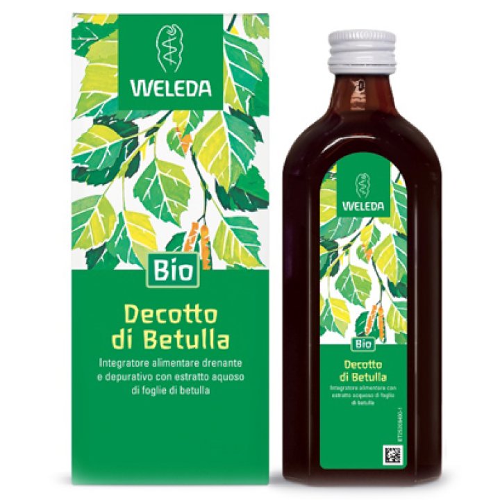 DECOTTO DI BETULLA 250 ML