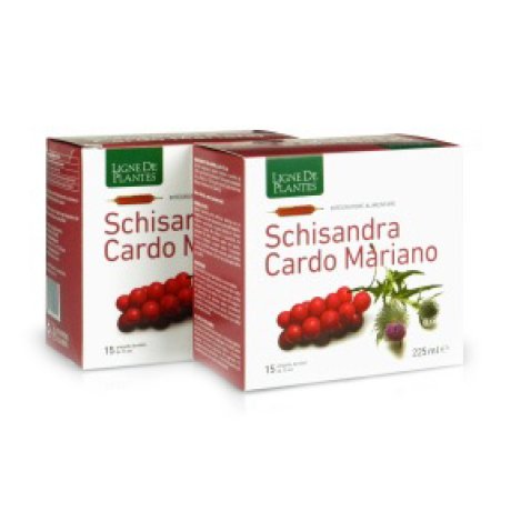 SCHISANDRA CARDO MARIANO 15AMP