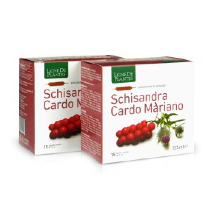 SCHISANDRA CARDO MARIANO 15AMP