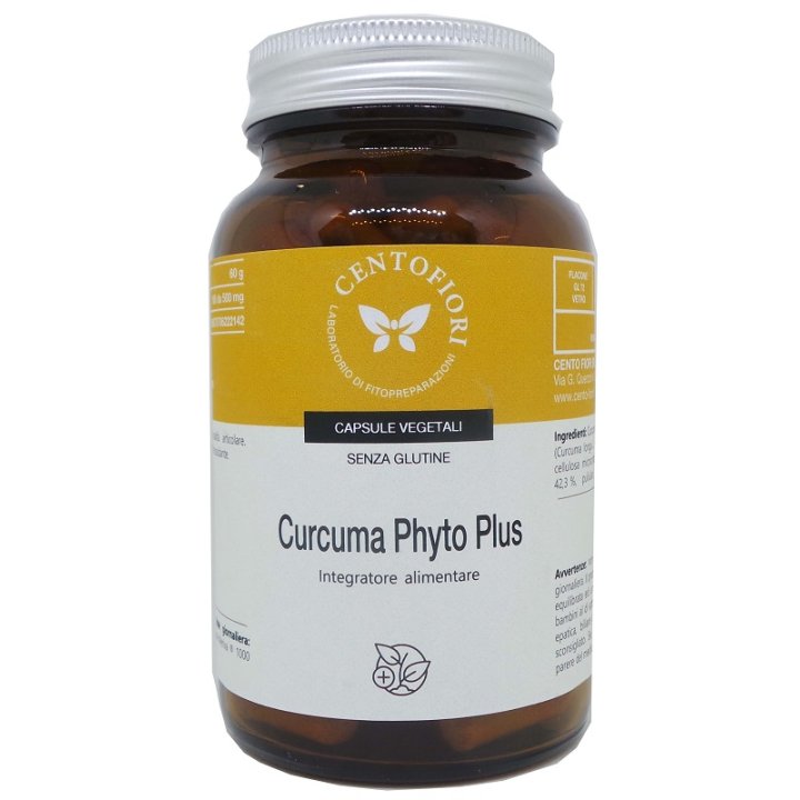 CURCUMA PHYTO PLUS 100CPS VEG