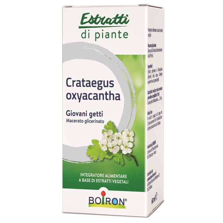 CRATAEGUS OXYACANTHA MACERATO GLICERICO 60 ML INT