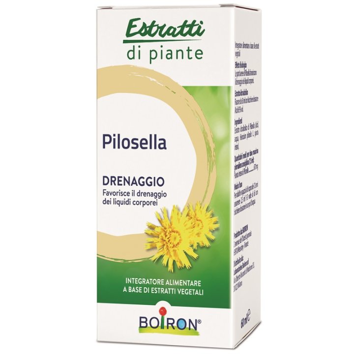 PILOSELLA ESTRATTO IDROALCOLICO 60 ML