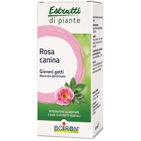 ROSA CANINA MACERATO GLICERICO 60 ML INT