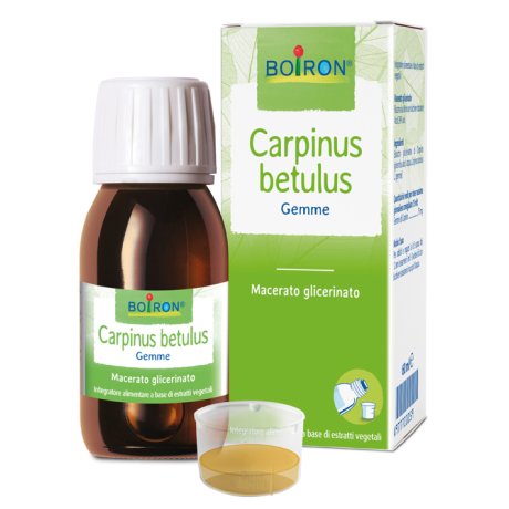 CARPINUS BETULUS MACERATO GLICERICO 60 ML INT CARPINUS BETULUS MACERATO GLICERICO 60 ML INT