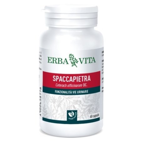 SPACCAPIETRA 60 CAPSULE SPACCAPIETRA 60 CAPSULE