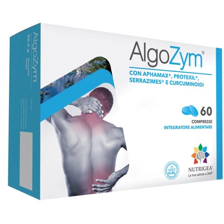 ALZYM 60 COMPRESSE