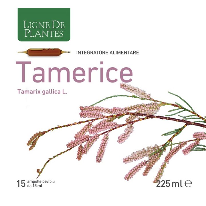 TAMERICE 15AMP 15ML