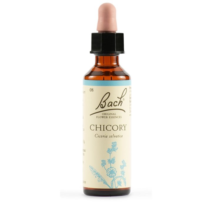 CHICORY fiori di Bach original da 20 ML