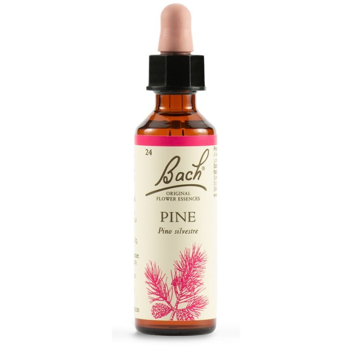 PINE BACH ORIG 20 ML