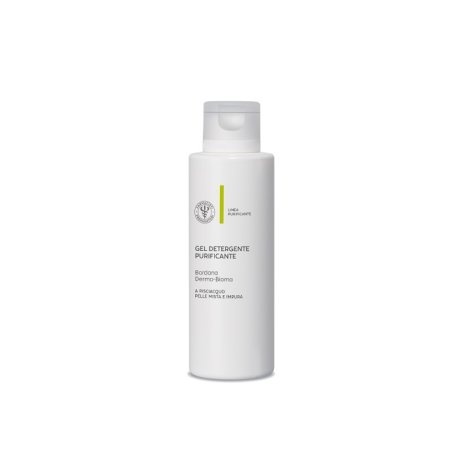 LFP GEL DETERGENTE BARDANA 200 ML