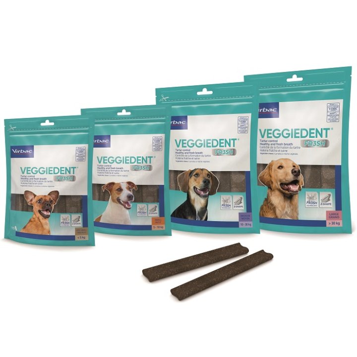 VEGGIEDENT FR3SH M 15STICK