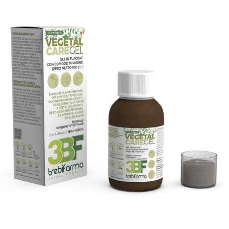 VEGETAL CARE GEL FLACONE 100 G