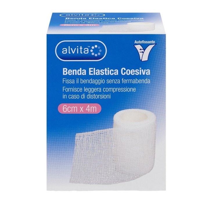 ALVITA BENDA ELASTICA COES 6X4