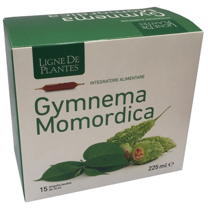 LIGNE GYMNEMA BIO 15AMP 15ML