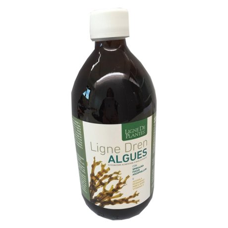 LIGNE DREN ALGUES 500ML