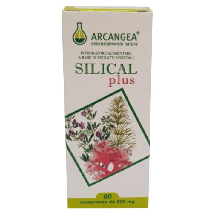 SILICAL PLUS 60 COMPRESSE