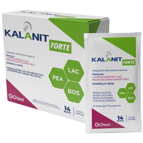 KALANIT FORTE 14 BUSTINE KALANIT FORTE 14 BUSTINE