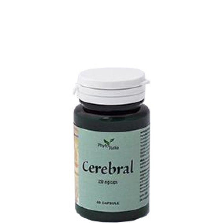 CEREBRAL AYURVED 60CPS