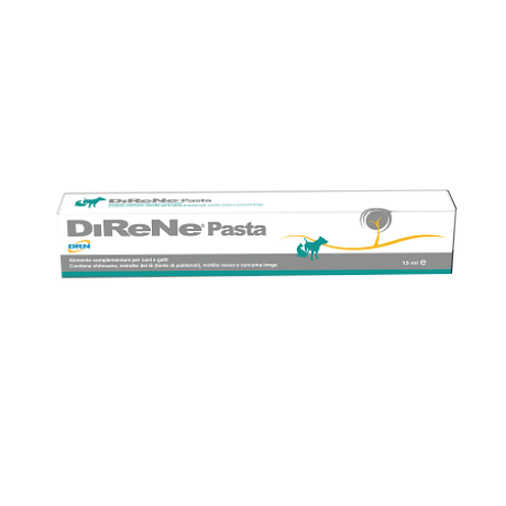 DIRENE PASTA 15 ML