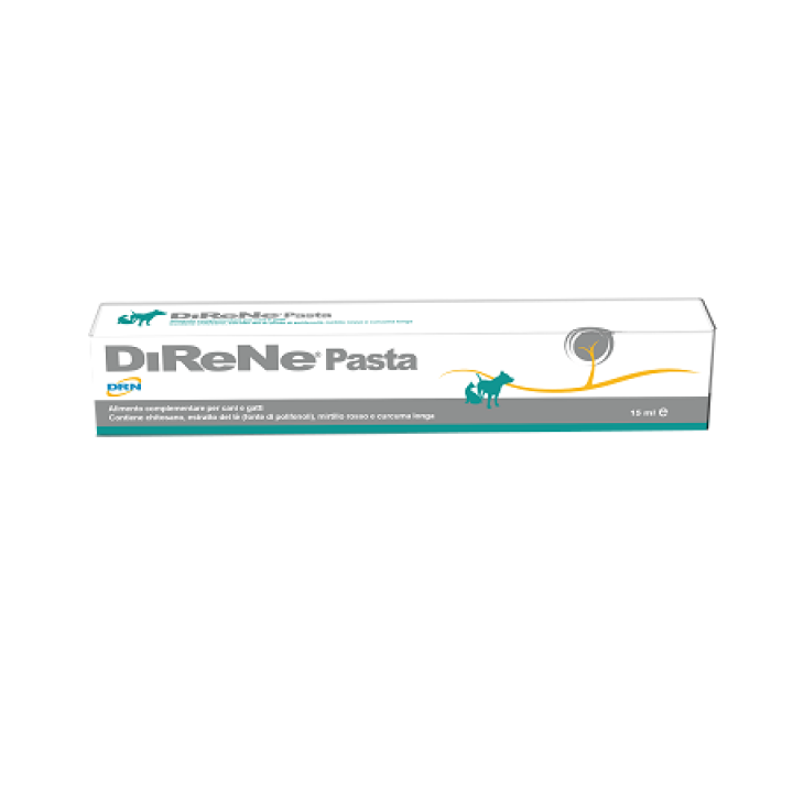 DIRENE PASTA 15 ML