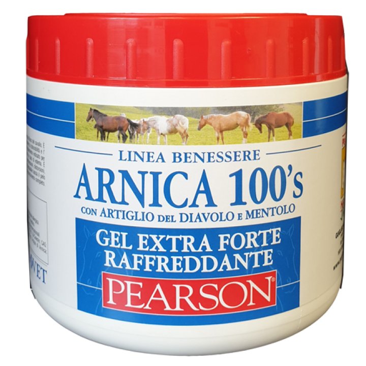 ARNICA 100'S GEL EXTRA FORTE RAFFREDDANTE 500 ML