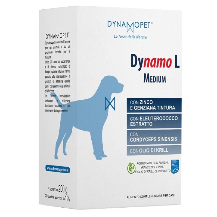 DYNAMO L MEDIUM 20 BUSTINE DA 10 G