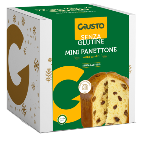 GIUSTO SENZA GLUTINE MINI PANETTONE CLASSICO 100 G