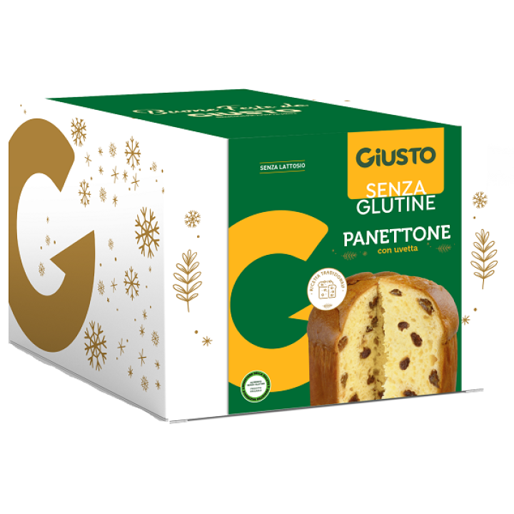 GIUSTO SENZA GLUTINE PANETTONE 500 G