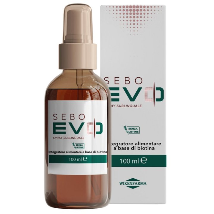 SEBO EVO SPRAY 100 ML