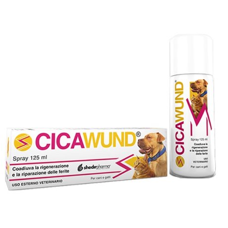 CICAWUND SPRAY 125ML