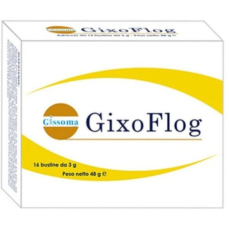 GIXOFLOG 16 BUSTINE GIXOFLOG 16 BUSTINE
